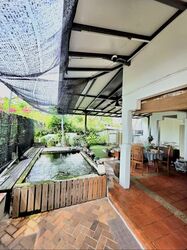 Charlton Park (D19), Terrace #537613371